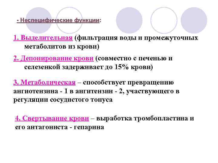 - Неспецифические функции: 1. Выделительная (фильтрация воды и промежуточных метаболитов из крови) 2. Депонирование