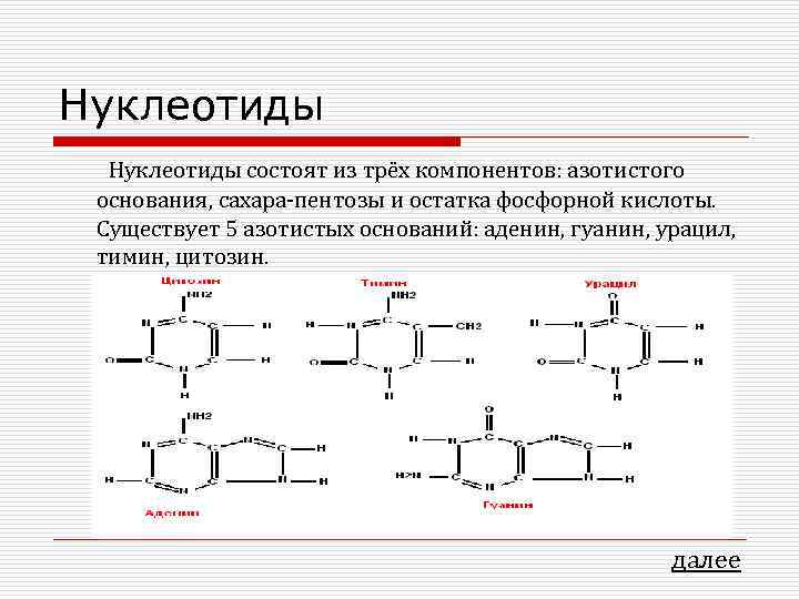 Нуклеотиды состоят из трёх компонентов: азотистого основания, сахара-пентозы и остатка фосфорной кислоты. Существует 5