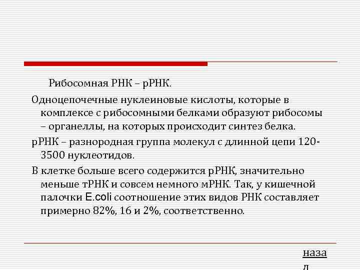 Рибосомная РНК – р. РНК. Одноцепочечные нуклеиновые кислоты, которые в комплексе с рибосомными белками