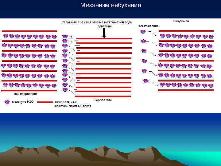 Механизм набухания 
