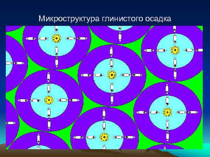 Микроструктура глинистого осадка 