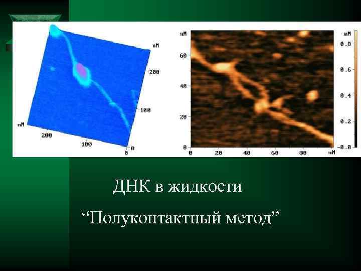  ДНК в жидкости “Полуконтактный метод” 