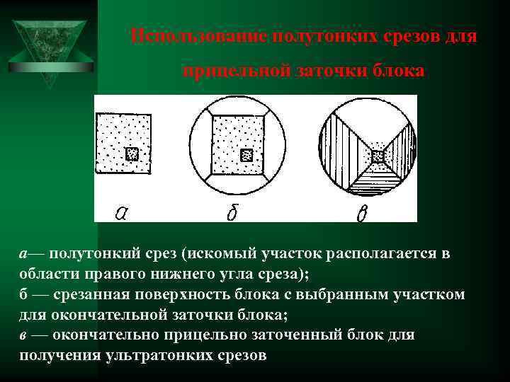  Использование полутонких срезов для прицельной заточки блока а— полутонкий срез (искомый участок располагается