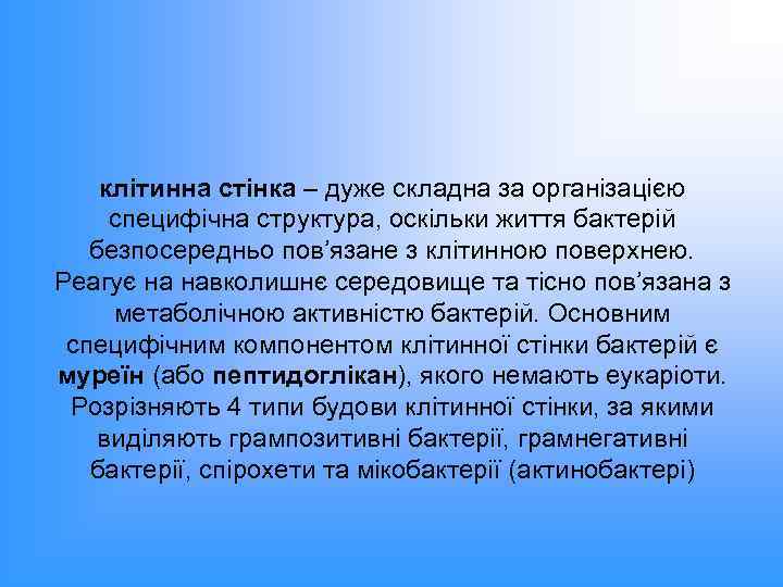 клітинна стінка – дуже складна за організацією специфічна структура, оскільки життя бактерій безпосередньо пов’язане