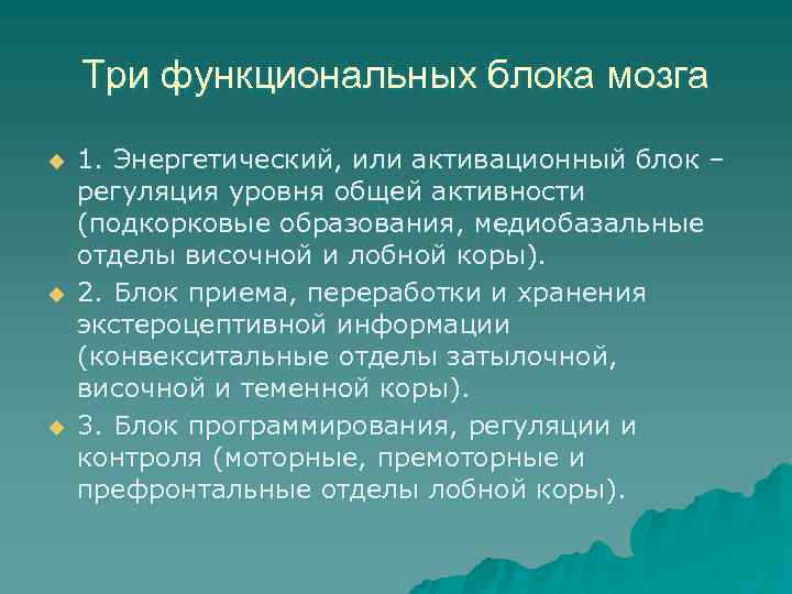 Три функциональных блока мозга u u u 1. Энергетический, или активационный блок – регуляция