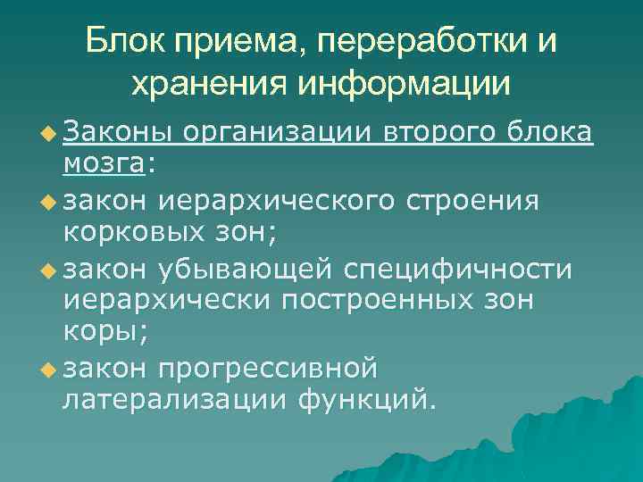 Блок приема, переработки и хранения информации u Законы организации второго блока мозга: u закон