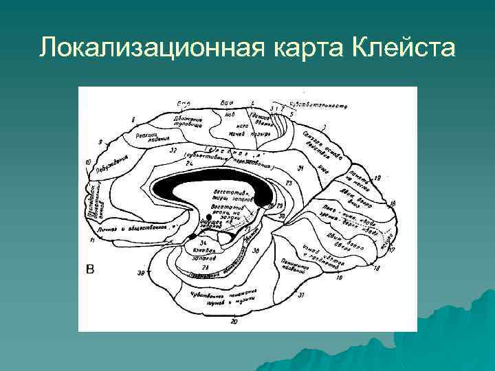 Локализационная карта клейма кратко