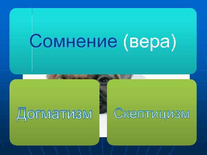 Сомнение (вера) вера Догматизм Скептицизм 