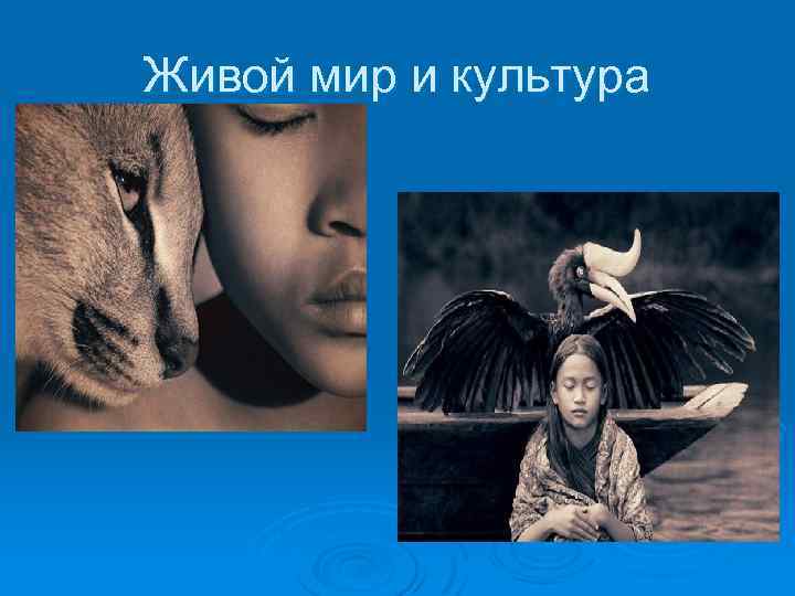 Человечество и природа. Живой мир культура. Тотемизм фетишизм. Урок биологии презентация. Живой мир и культура.