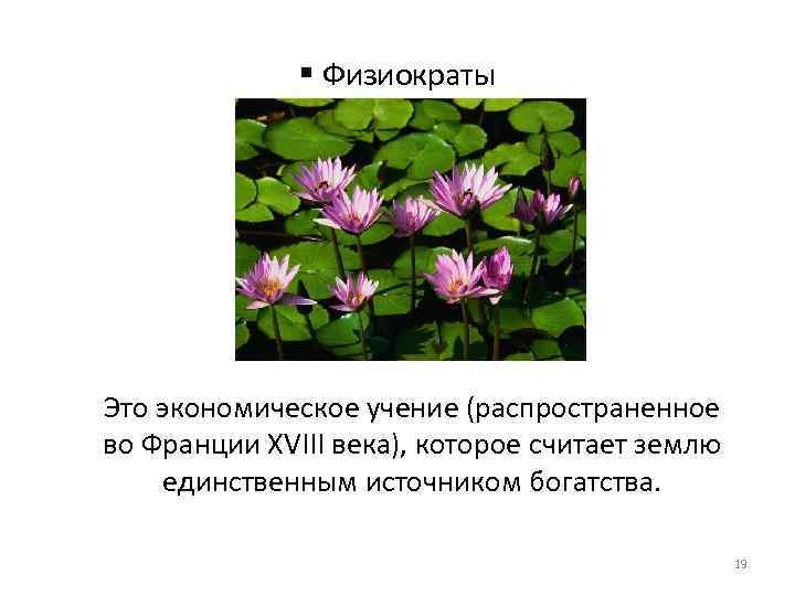§ Физиократы Это экономическое учение (распространенное во Франции XVIII века), которое считает землю единственным