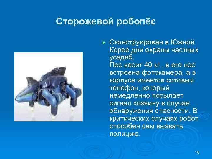 Сторожевой робопёс Ø Сконструирован в Южной Корее для охраны частных усадеб. Пес весит 40