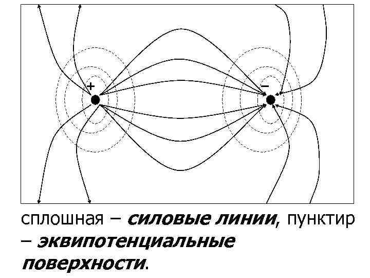 + – сплошная – силовые линии, пунктир – эквипотенциальные поверхности. 