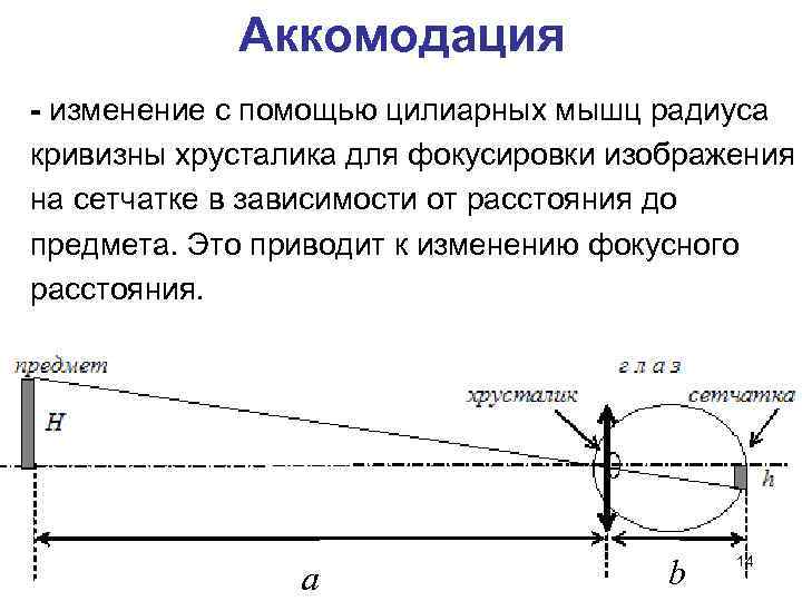 Кривизна поля изображения