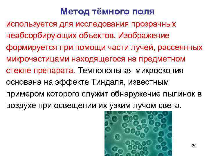 В методе темного поля микроскопии изображение объекта получается