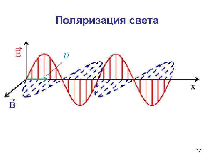 Поляризация света υ 17 