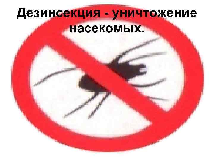Дезинсекция - уничтожение насекомых. 