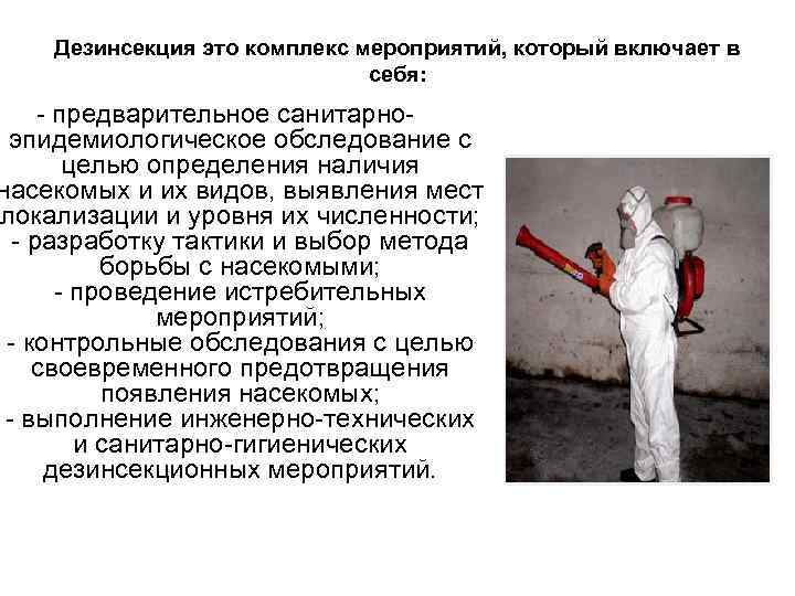 Дезинсекция это комплекс мероприятий, который включает в себя: - предварительное санитарноэпидемиологическое обследование с целью