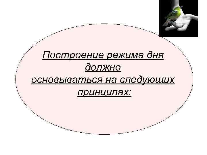 Построение режима дня должно основываться на следующих принципах: 
