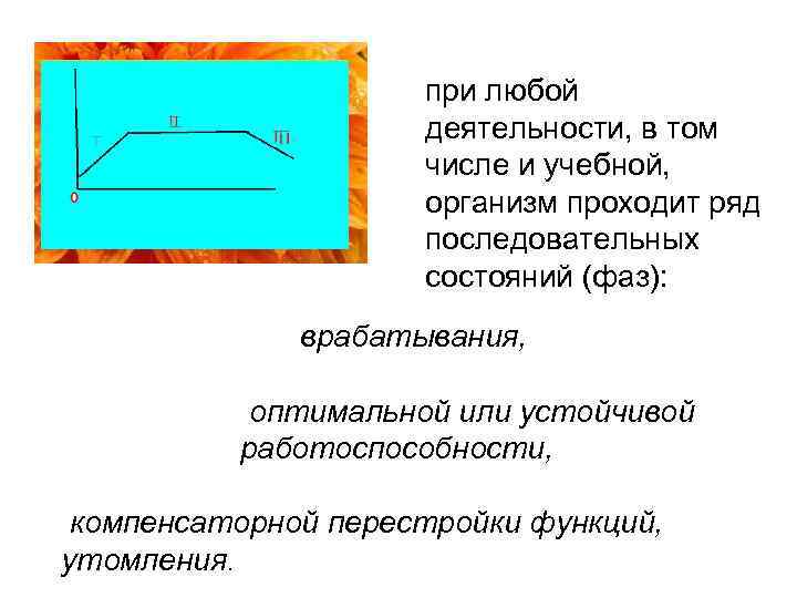 при любой деятельности, в том числе и учебной, организм проходит ряд последовательных состояний (фаз):