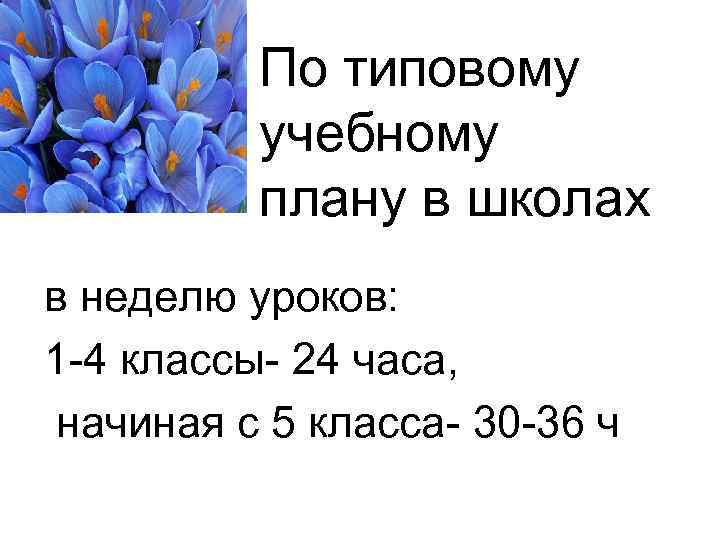 По типовому учебному плану в школах в неделю уроков: 1 -4 классы- 24 часа,