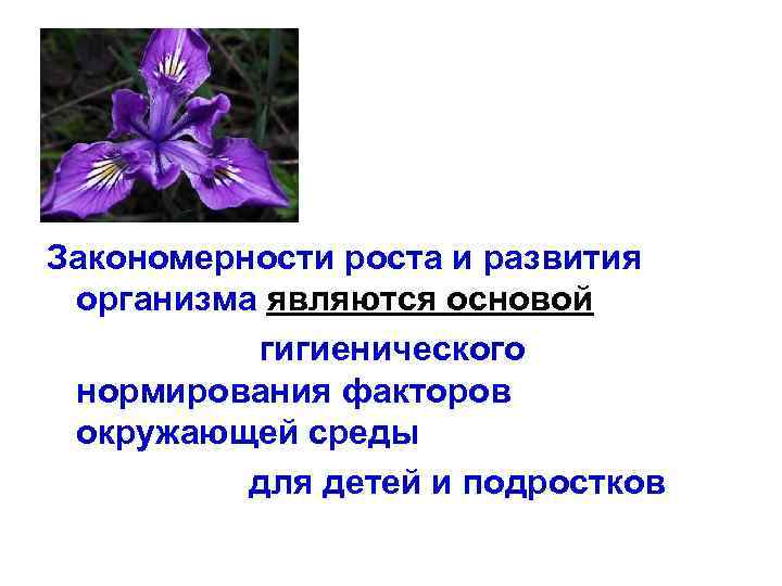 Закономерности роста и развития организма являются основой гигиенического нормирования факторов окружающей среды для детей