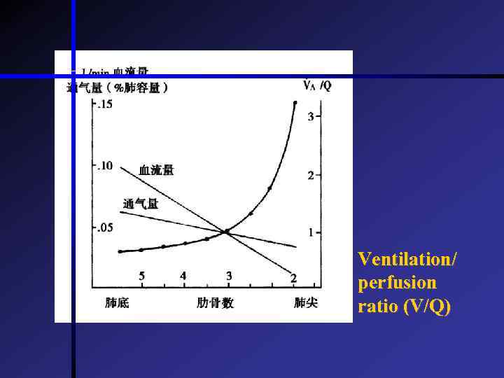 Ventilation/ perfusion ratio (V/Q) 