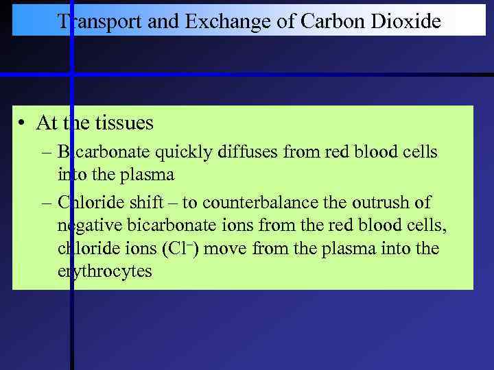 Transport and Exchange of Carbon Dioxide • At the tissues – Bicarbonate quickly diffuses