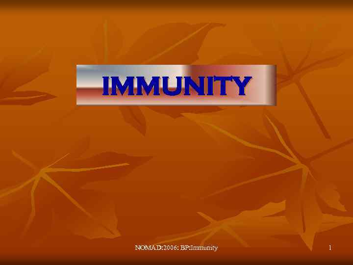 IMMUNITY NOMAD: 2006: BP: Immunity 1 