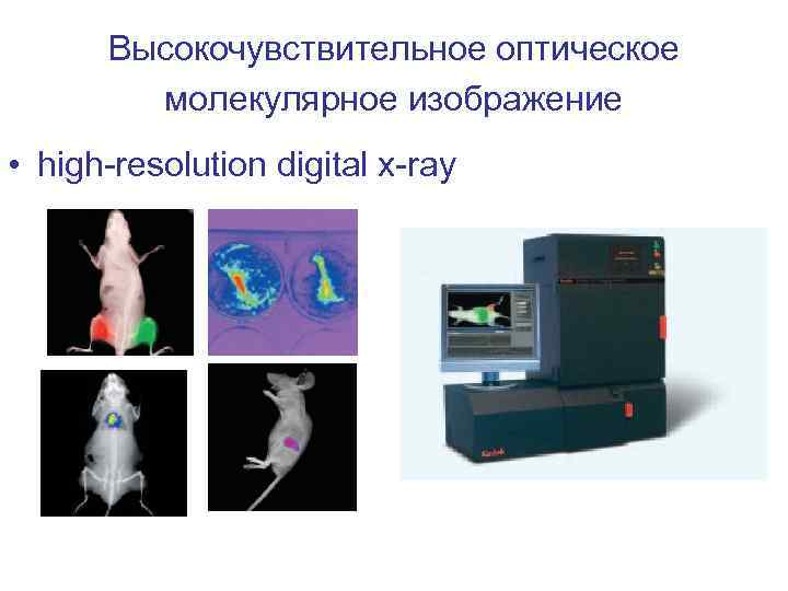 Высокочувствительное оптическое молекулярное изображение • high-resolution digital x-ray 