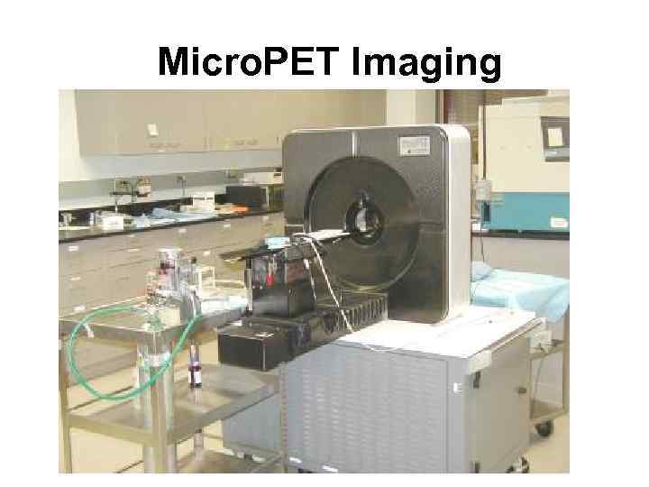 Micro. PET Imaging 