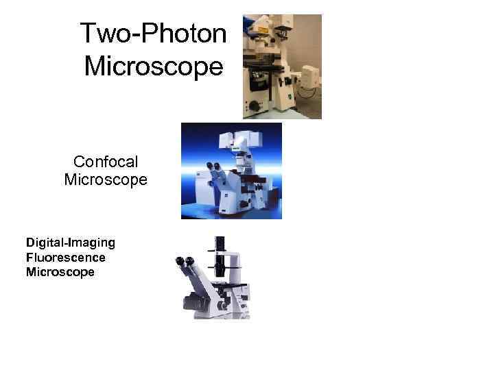 Two-Photon Microscope Confocal Microscope Digital-Imaging Fluorescence Microscope 