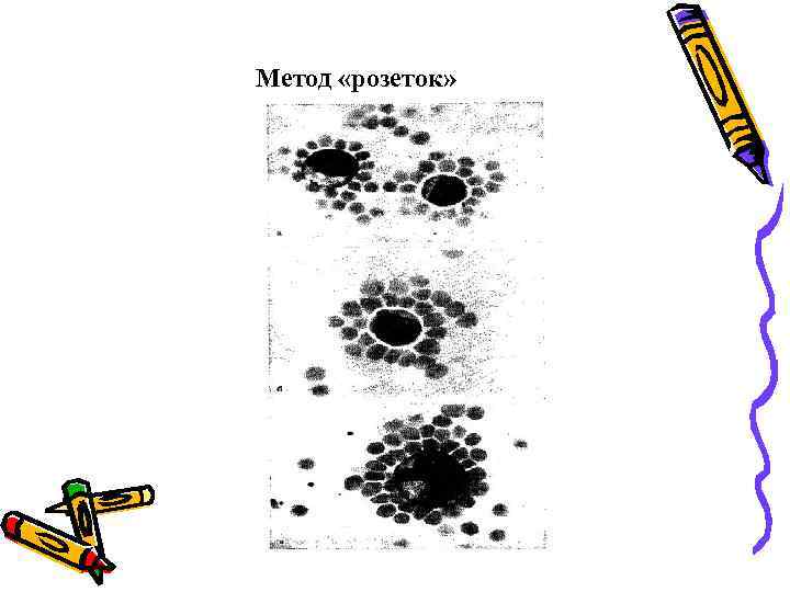 Метод «розеток» 