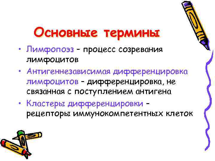 Основные термины • Лимфопоэз – процесс созревания лимфоцитов • Антигеннезависимая дифференцировка лимфоцитов – дифференцировка,