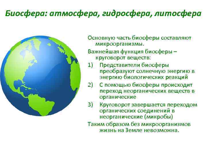 Биосфера: атмосфера, гидросфера, литосфера Основную часть биосферы составляют микроорганизмы. Важнейшая функция биосферы – круговорот
