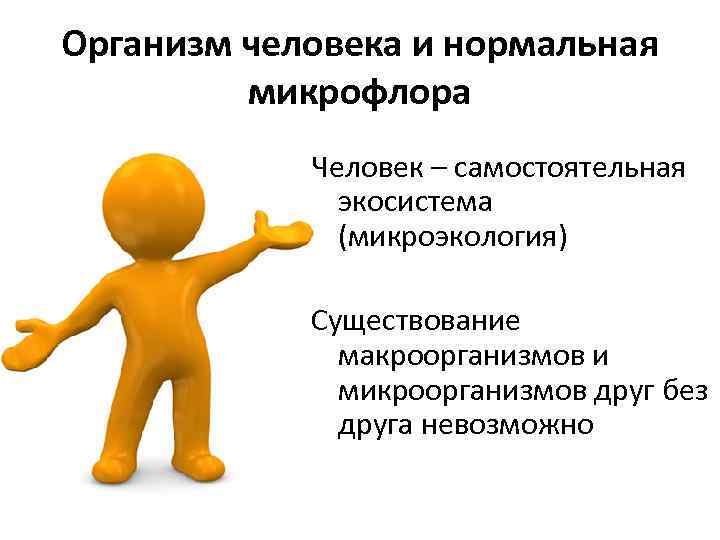 Организм человека и нормальная микрофлора Человек – самостоятельная экосистема (микроэкология) Существование макроорганизмов и микроорганизмов