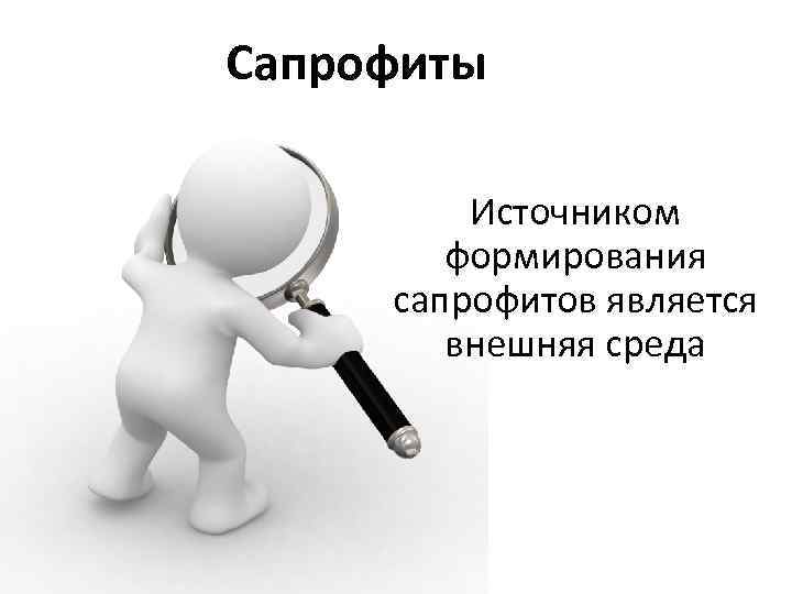 Сапрофиты Источником формирования сапрофитов является внешняя среда 