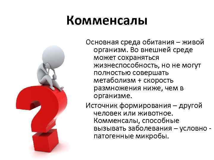 Комменсалы Основная среда обитания – живой организм. Во внешней среде может сохраняться жизнеспособность, но