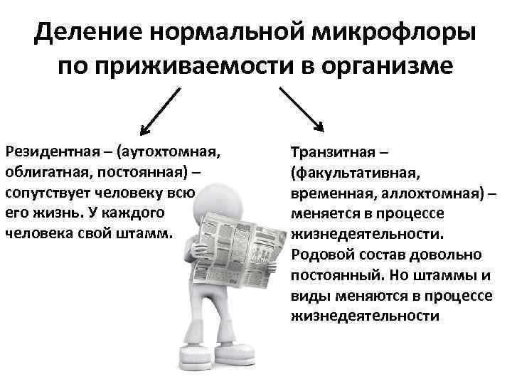 Деление нормальной микрофлоры по приживаемости в организме Резидентная – (аутохтомная, облигатная, постоянная) – сопутствует