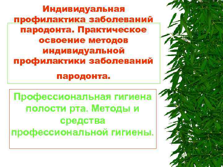  Индивидуальная профилактика заболеваний пародонта. Практическое освоение методов индивидуальной профилактики заболеваний пародонта. Профессиональная гигиена