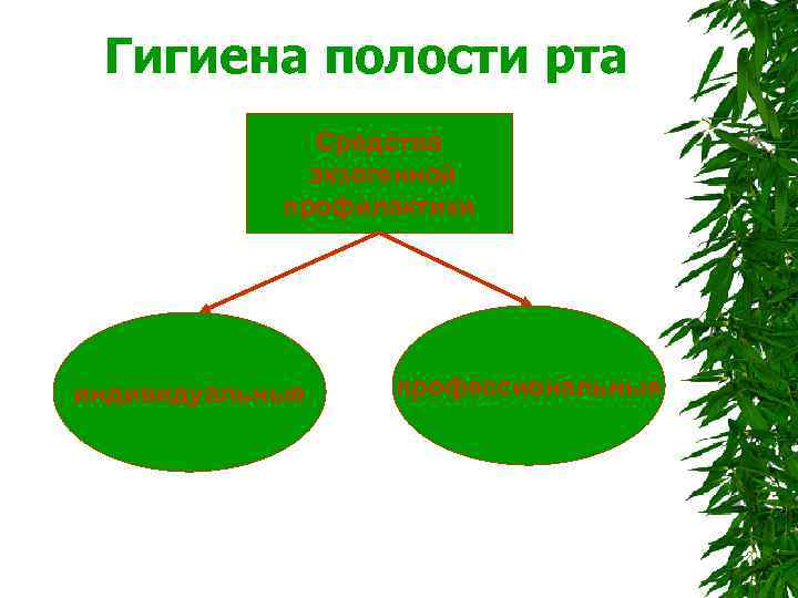  Гигиена полости рта Средства экзогенной профилактики индивидуальные профессиональные Полтава, 1999 - 192 с.