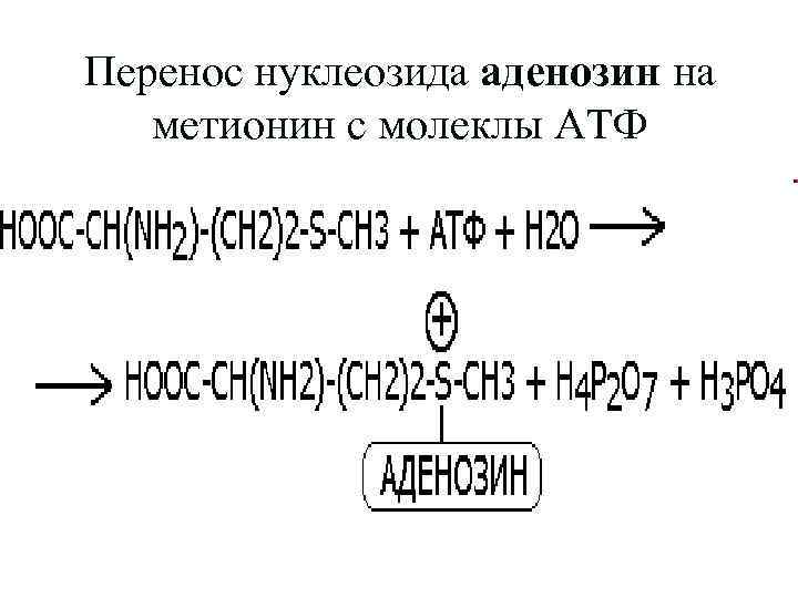 Перенос нуклеозида аденозин на метионин с молеклы АТФ 