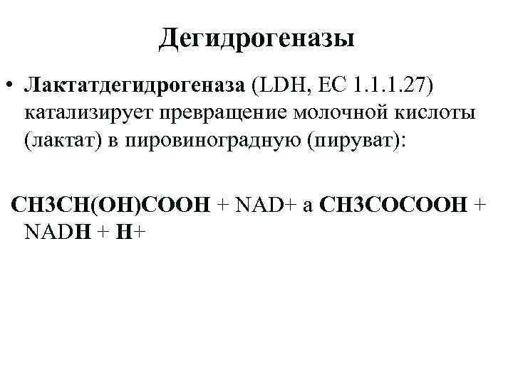 Дегидрогеназы • Лактатдегидрогеназа (LDH, EC 1. 1. 1. 27) катализирует превращение молочной кислоты (лактат)