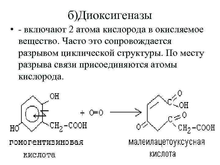 б)Диоксигеназы • - включают 2 атома кислорода в окисляемое вещество. Часто это сопровождается разрывом
