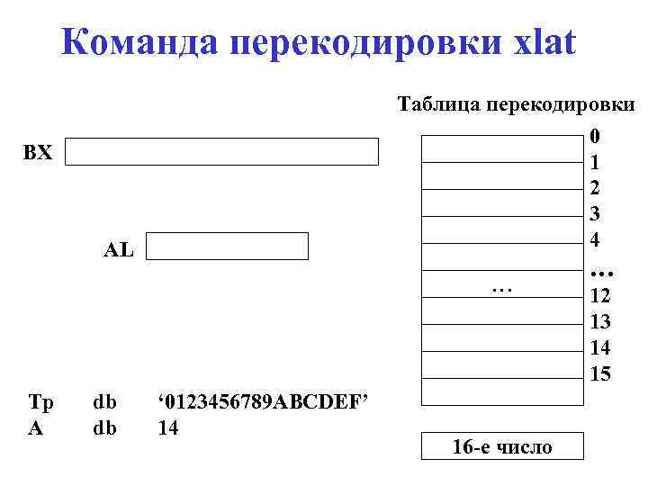 Команда перекодировки xlat Таблица перекодировки 0 1 2 3 4 BX AL … Tp