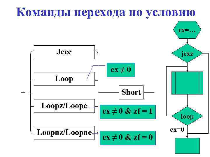 Команды перехода по условию cx=… Jccc jcxz cx ≠ 0 Loop Short Loopz/Loope Loopnz/Loopne