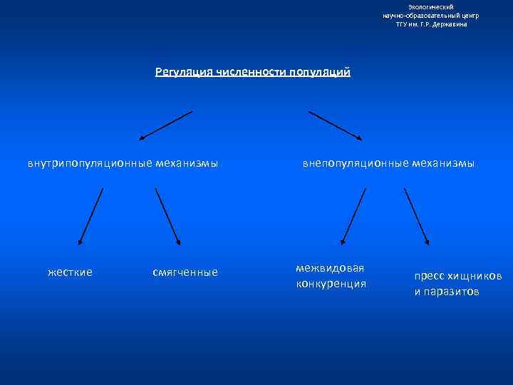 Экологический научно образовательный центр ТГУ им. Г. Р. Державина Регуляция численности популяций внутрипопуляционные механизмы