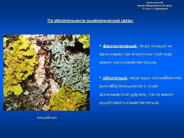 Экологический научно образовательный центр ТГУ им. Г. Р. Державина По обязательности симбиотической связи: •