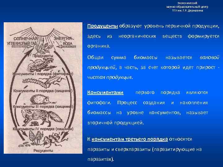 Экологический научно образовательный центр ТГУ им. Г. Р. Державина Продуценты образуют уровень первичной продукции,