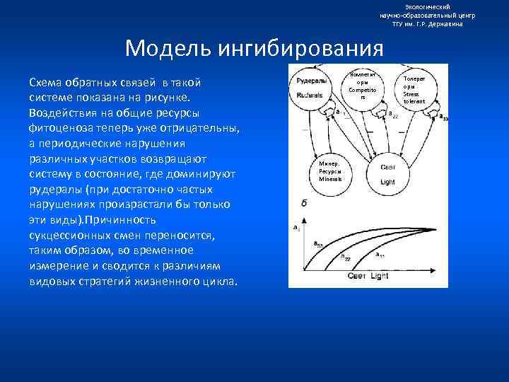 Экологический научно образовательный центр ТГУ им. Г. Р. Державина Модель ингибирования Схема обратных связей