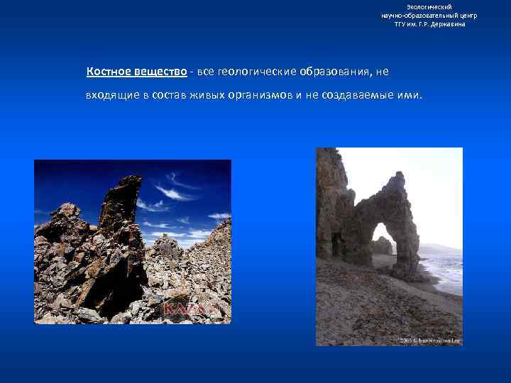 Экологический научно образовательный центр ТГУ им. Г. Р. Державина Костное вещество все геологические образования,